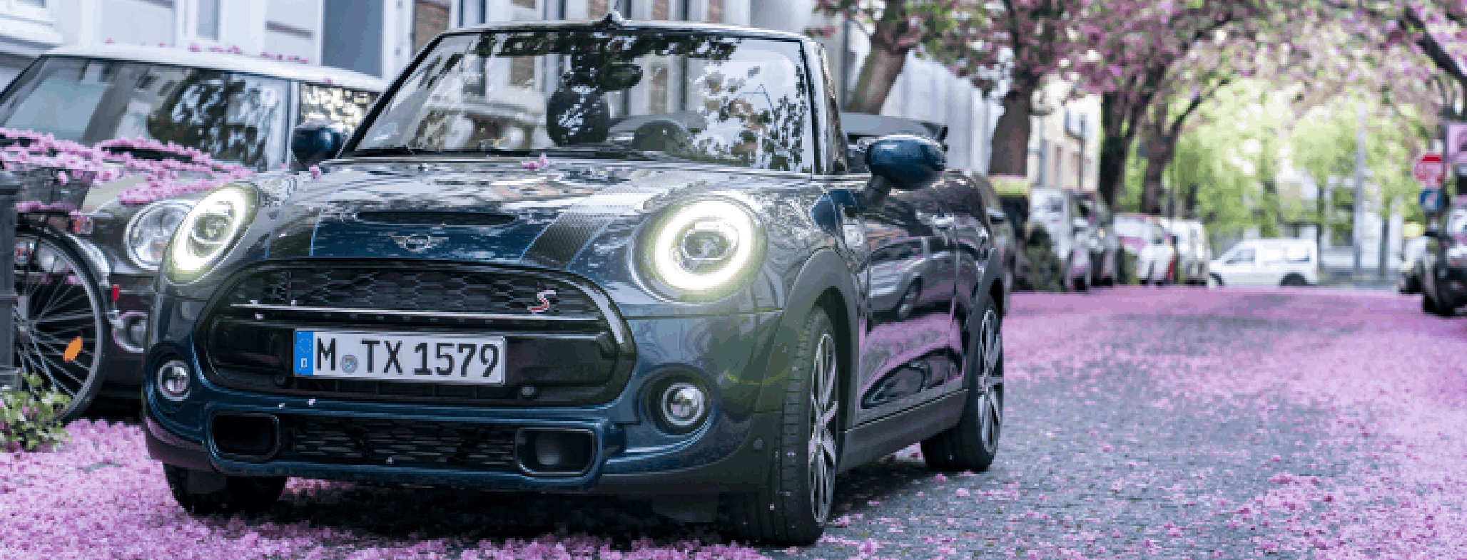 MINI Cabrio cerezo en flor MINI Cabrio cerezo en flor